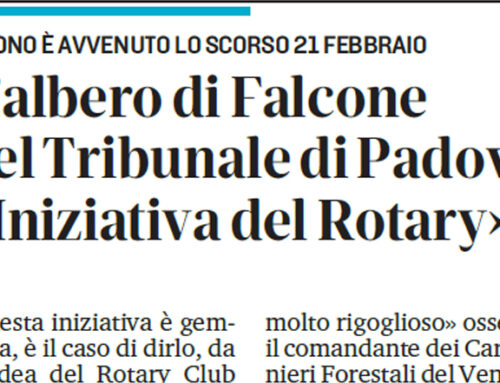 L’albero di Falcone nel Tribunale di Padova «Iniziativa del Rotary»